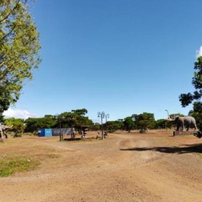 Người dân nói gì khi đề xuất rừng thông, đồi cỏ hồng làm sân golf?